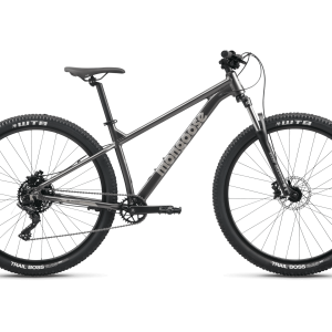 Switchback Expert - 29in
